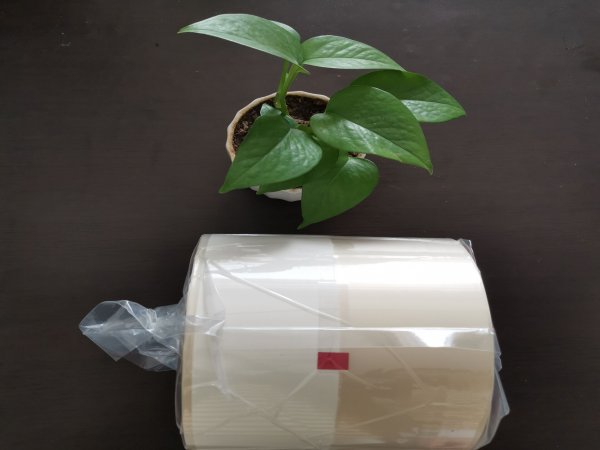 上胶量对赛璐玢药品包装膜的品质影响分析说明